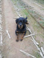 /album/aron/snimek-033h-jpg/